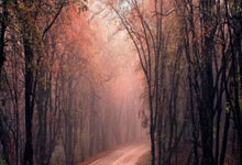 九游娱乐app下载-法甲豪门签下新援，提升实力