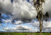 九游体育APP下载-新星风暴！亚洲篮球联赛暗夜燃起的野火