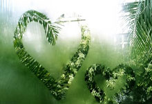 九游游戏-蒙特雷阵容深度显著，替补席也能决定比赛走向