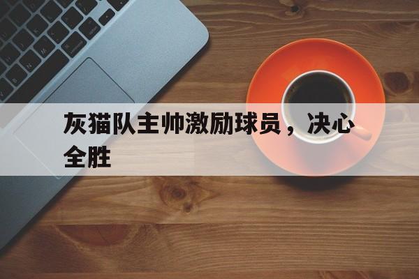九游娱乐入口-灰猫队主帅激励球员,决心全胜的简单介绍