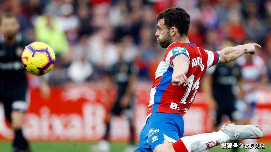 阿尔梅里亚力克塞尔塔，喜迎胜利