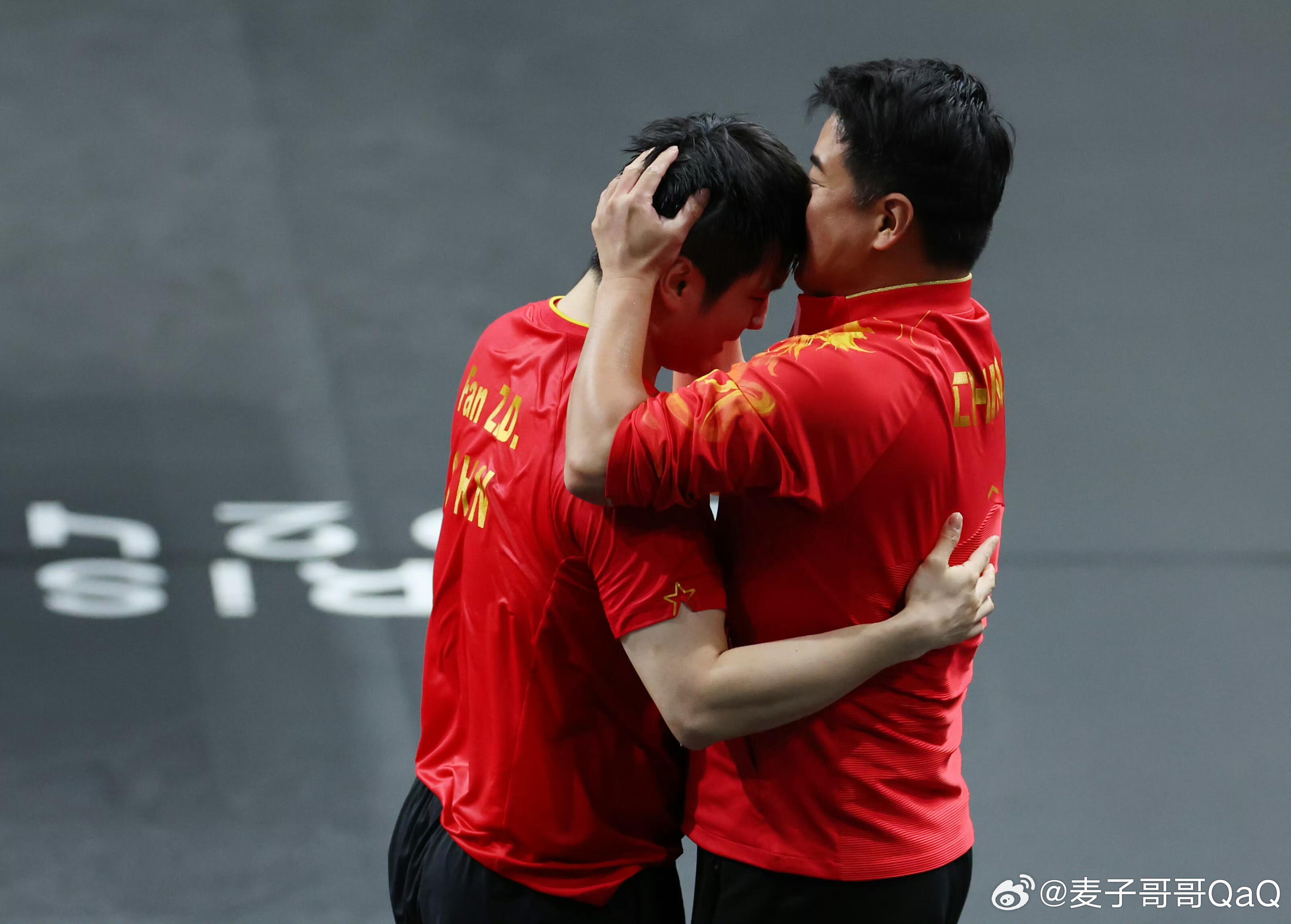 波兰队横扫葡萄牙队,樊振东带队取胜 波兰队横扫葡萄牙队,樊振东带队取胜