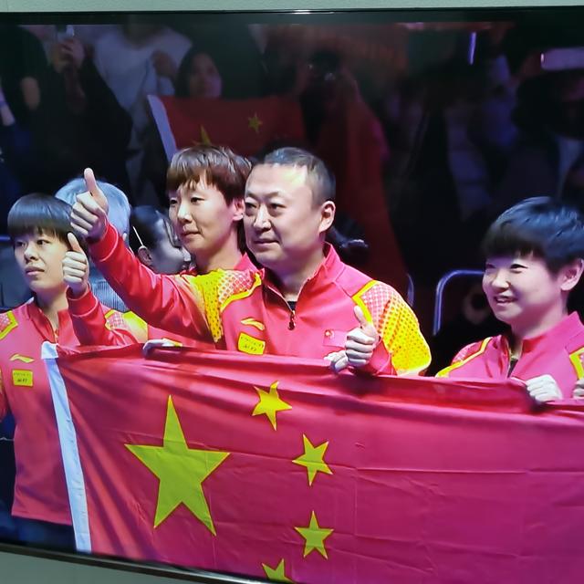 德国队鏖战马来西亚队，马琳状态火热的简单介绍